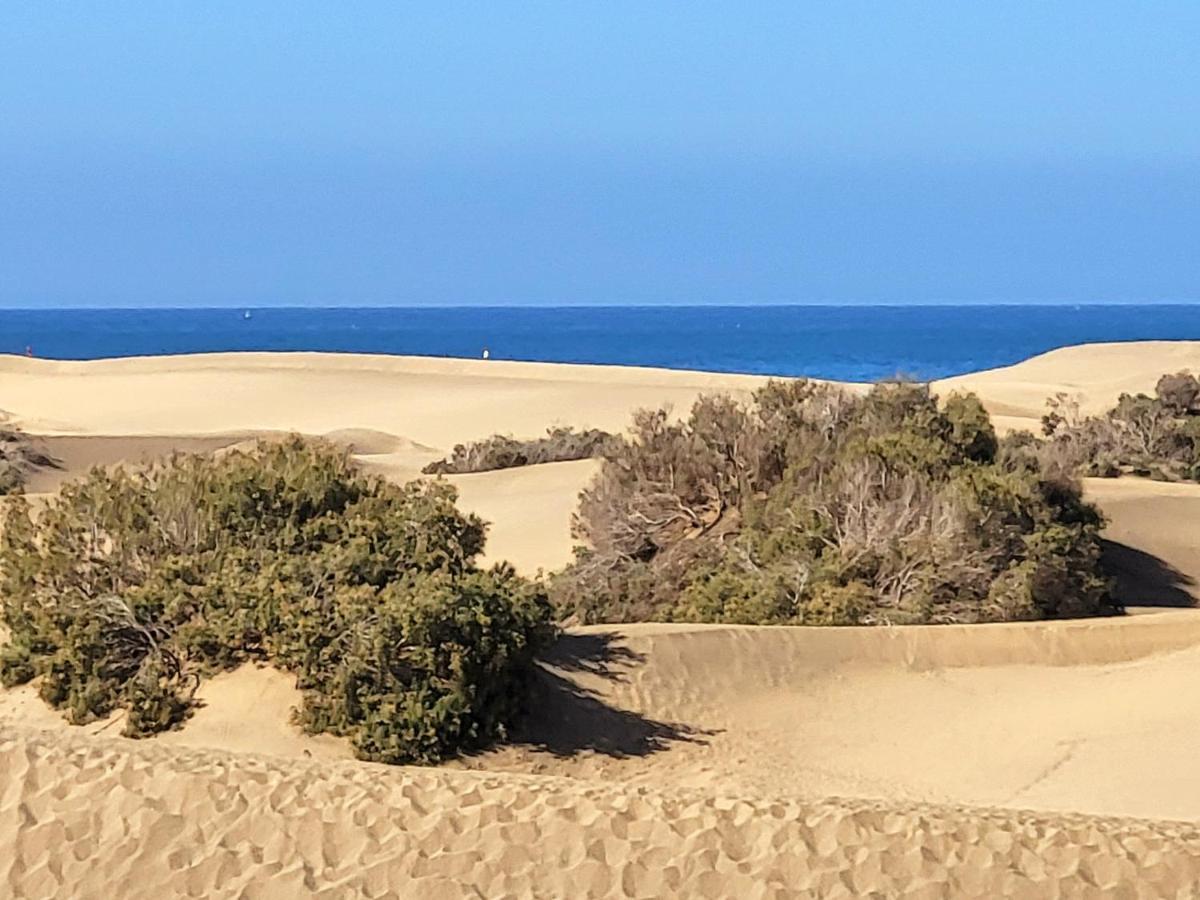 Taidia Tropical Apartment Maspalomas  Luaran gambar