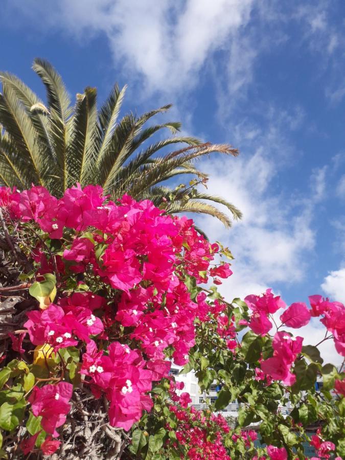 Taidia Tropical Apartment Maspalomas  Luaran gambar
